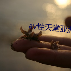 av性(性)天(天)堂亚(亞)洲