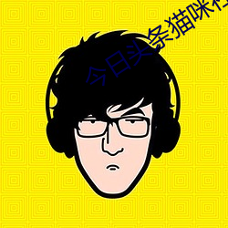 今日头条猫咪社区