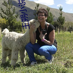 王朔(shu)小说(shu)