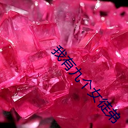 我有九个女徒弟