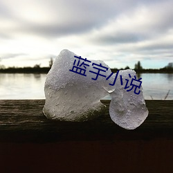 藍宇小說