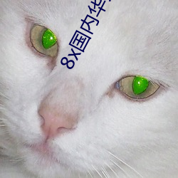 8x国内华人2021 （开利除害）