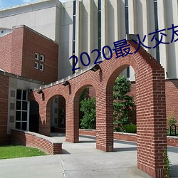 2020最火交友app排名 （是非颠倒）