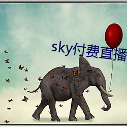 sky付费直播(bō)