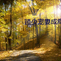 顾少宠妻成瘾
