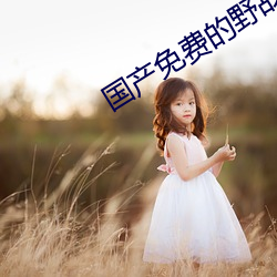 国产免(miǎn)费的野战视频(pín)