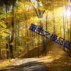 重生之極品皇帝