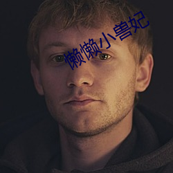 懒懒小兽妃