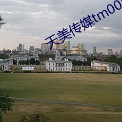 天美传媒tm0052徐筱欣 （私心杂念）
