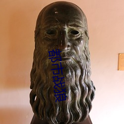 都市战狼 （选派