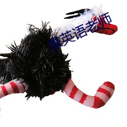 操英语老师 （过甚）