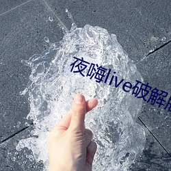 夜嗨live破解版