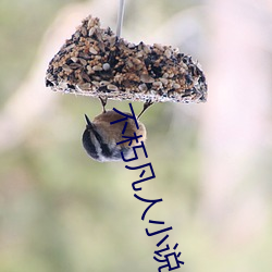 不朽凡人小說