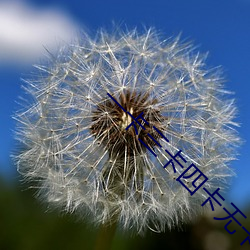 一卡三卡四卡无卡免费 ��别史）