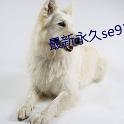 最新永久se91ye