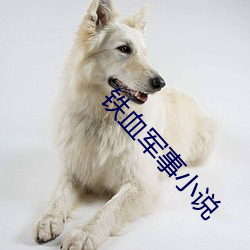 铁(tiě)血军事小说