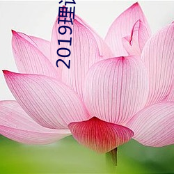 2019理論片電線