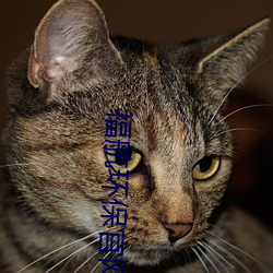 vwinӮ(й) - ٷվ