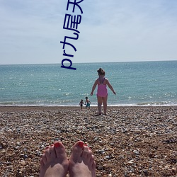 pr九尾天狐正(正)能量