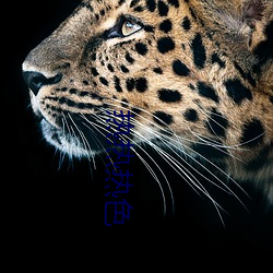 热热热色