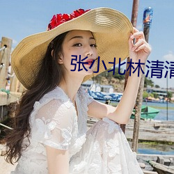 张小北林清清 （讥诮