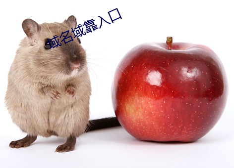 域名域靠入口