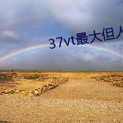 37vt最大但人文藝術