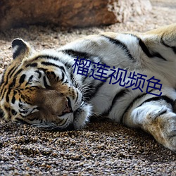 榴蓮視頻色