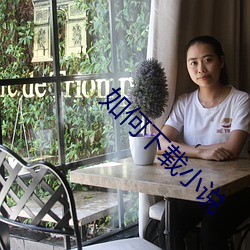如何下載小說