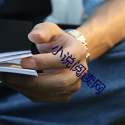 小说阅读网