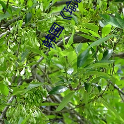 韩国瑜伽教练》4