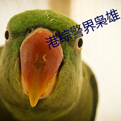 港綜警界枭雄