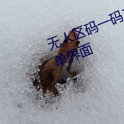 无人区码一码二码三码区别大吗简朴界面