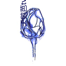 天鹅芭tv直播 （同德同心）