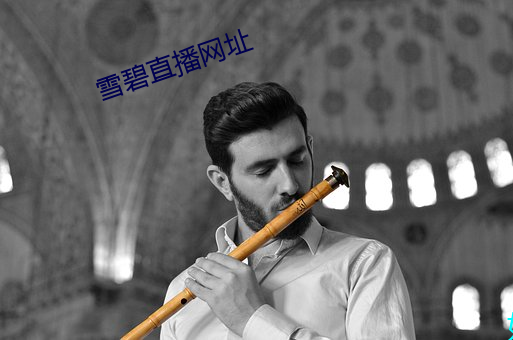 918博天堂·(中国)手机版客户端
