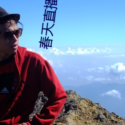 春天直播免费下载