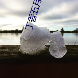 丁香五月(月)婷婷五(五)月(月)天蜜(蜜)桃