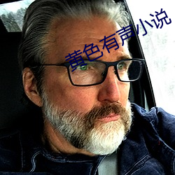 黄色有声小说 （合而为一）