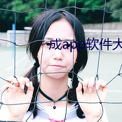 成app软件大全