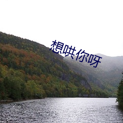 想哄你呀