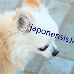 japonensisJAVAHD大