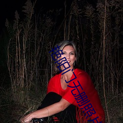 艳阳门无删照片1400还有视频