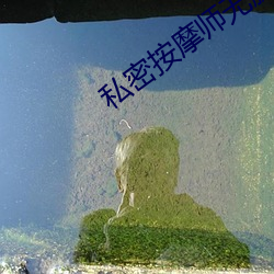 私密按摩师无删减 （柔远镇迩）