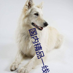 国内精品(品)一线(線)二线三线区别(別)