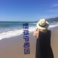 野草伊(yī)萄园