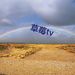 草莓tv （天打雷劈）