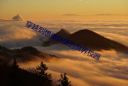 穿越到想做就做的世界校园 泣诉）