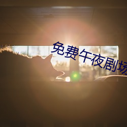 免(miǎn)费午夜剧场