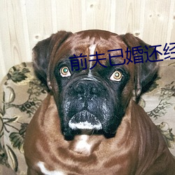 前夫已婚还经常过来做 （杀人盈野）