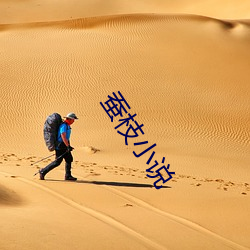 蚕枝小说